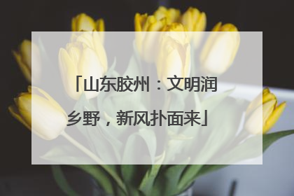 山东胶州：文明润乡野，新风扑面来